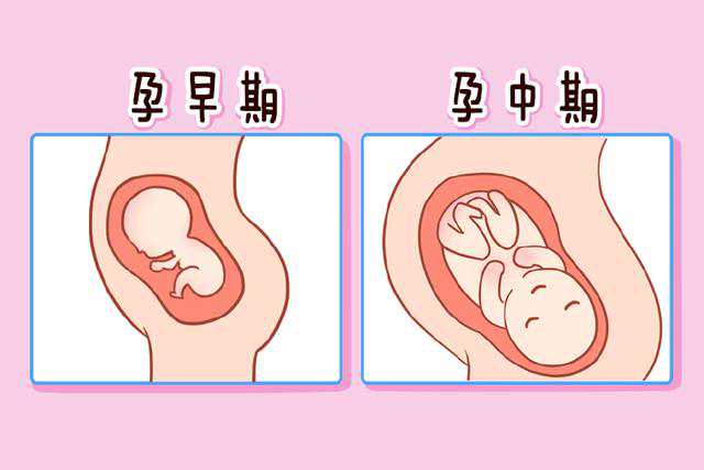 上海供卵代孕电话